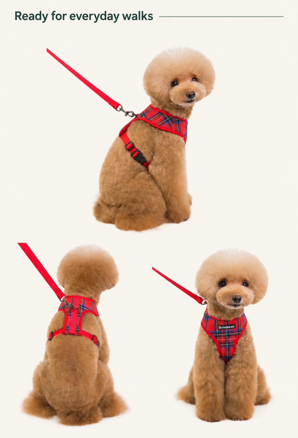 Small dog wearing the red plaid harness in side, back and front views