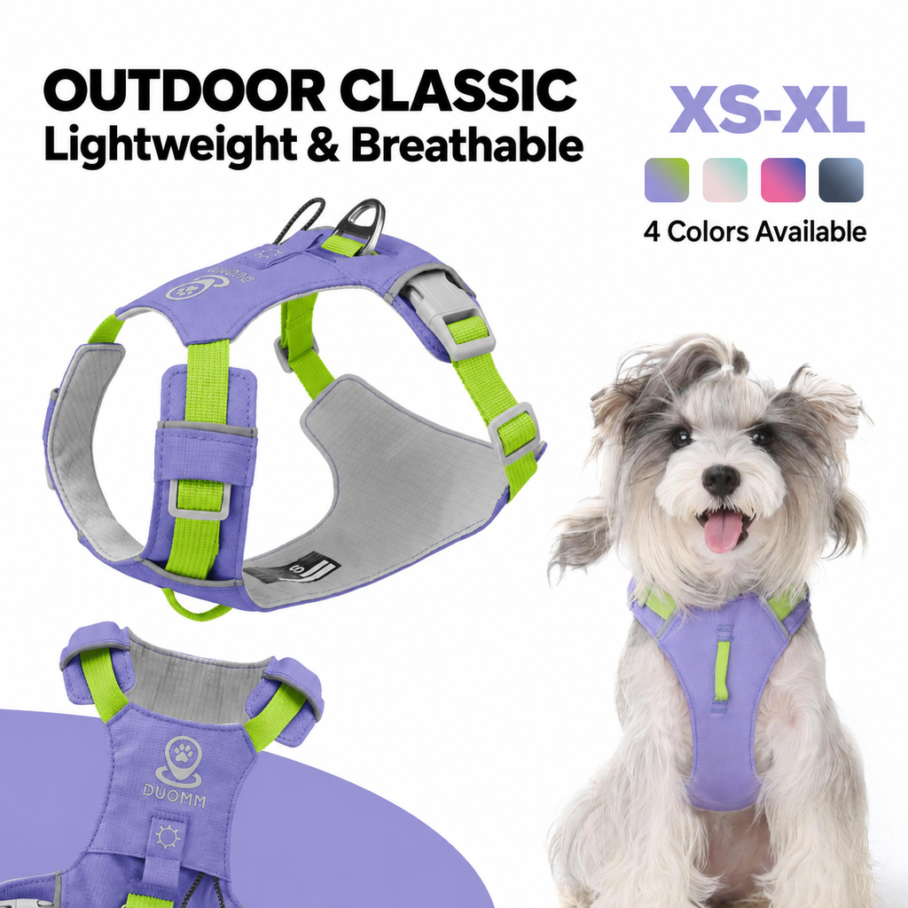 Purple and lime-green adjustable dog harness, with a dog wearing the harness and close-up product details