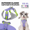 Purple and lime-green adjustable dog harness, with a dog wearing the harness and close-up product details