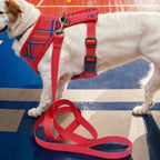 Plaid Dog Harness & Leash Set