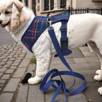 Plaid Dog Harness & Leash Set
