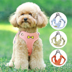 Soft Bow Dog Harness & Leash Set