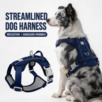 Reflective Everyday Dog Harness