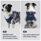 Reflective Everyday Dog Harness