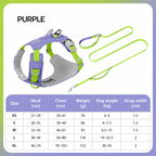 Dog Harness & Leash Set