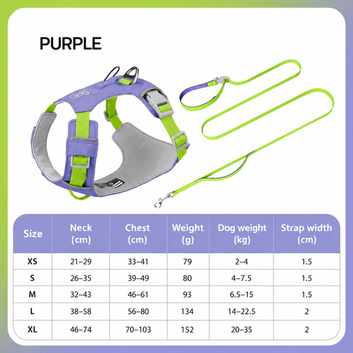 Dog Harness & Leash Set