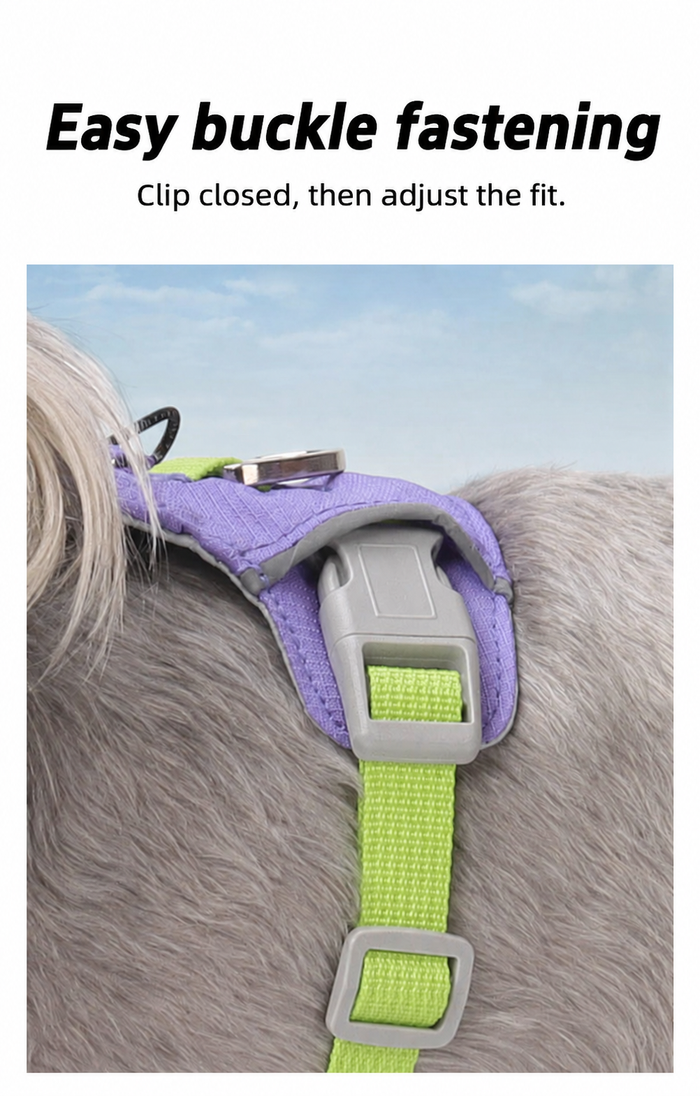 Buckle and adjustable harness strap