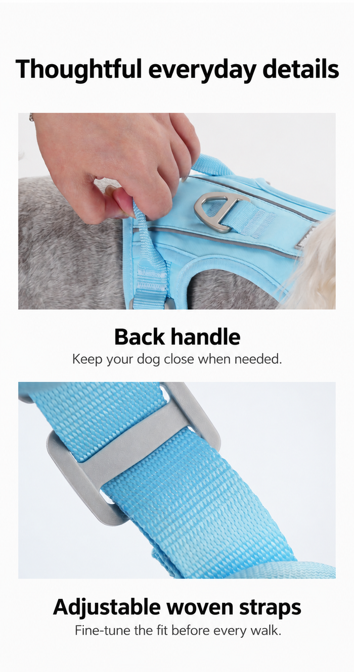 Back handle and adjustable webbing details