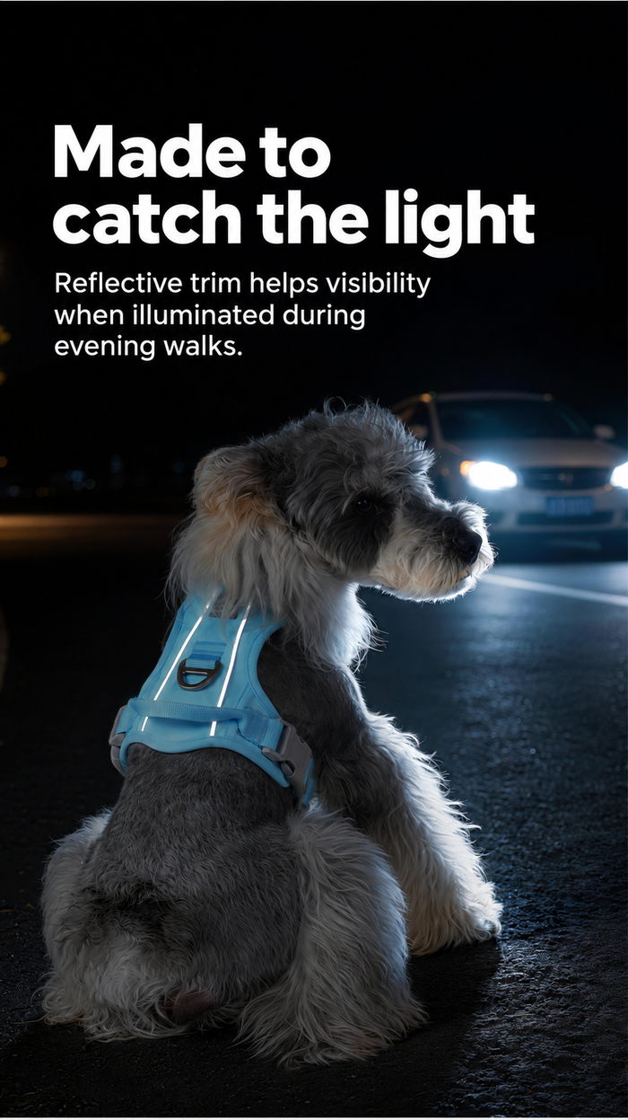 Reflective trim catching light during an evening walk