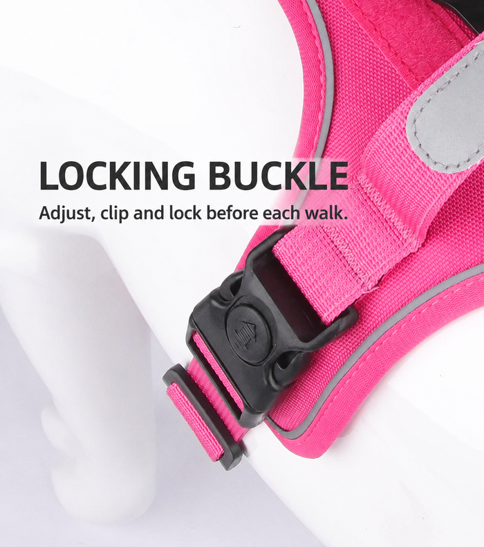 Close-up of adjustable strap and locking buckle