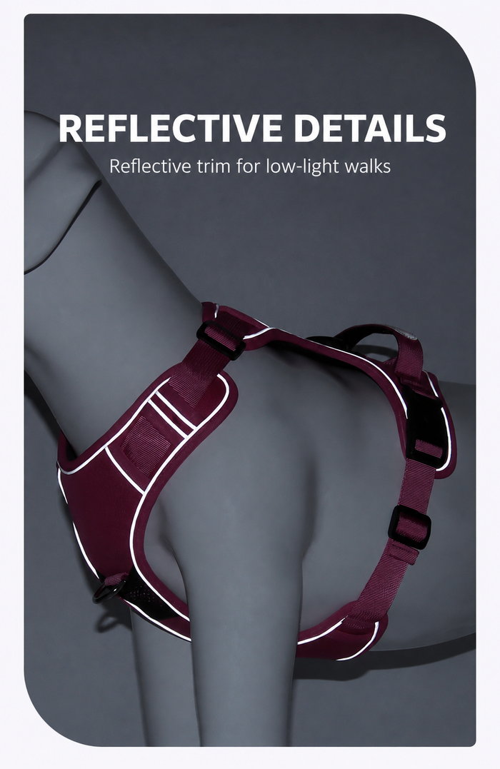 Reflective trim on the harness in low light