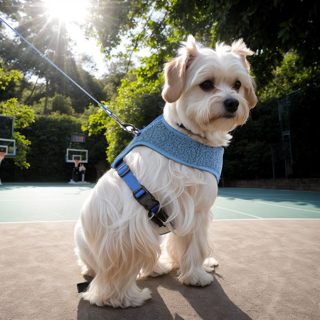 Teddy Fleece Dog Harness & Leash Set