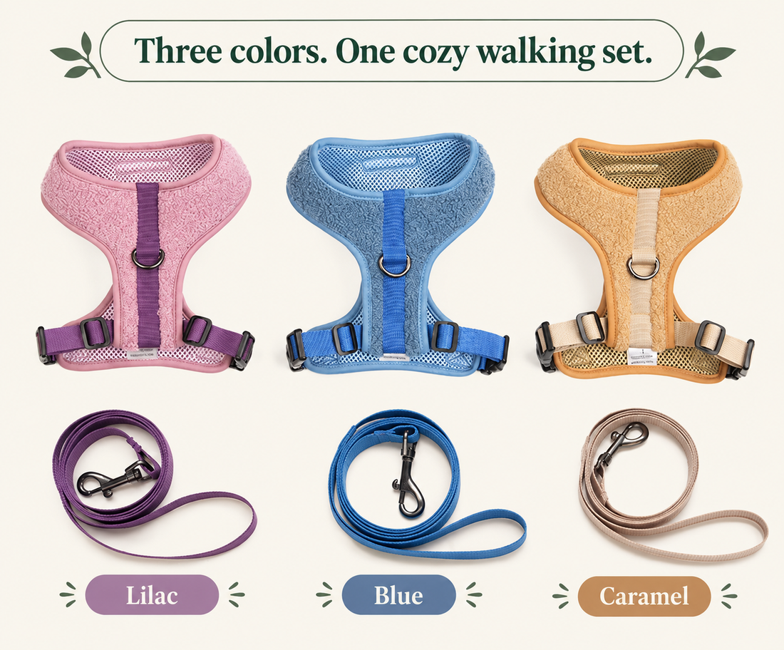Lilac, blue and caramel teddy fleece harnesses with matching leashes